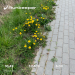  Hochgeladen am 30.04.2020 14:19:07Оникийчук Яна 
