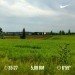  Hochgeladen am 23.06.2020 00:00:00Федосова Виктория 