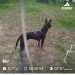  Hochgeladen am 09.05.2022 00:00:00Талалаева Анна 