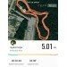  Hochgeladen am 05.08.2022 00:00:00Комоликова Ольга 
