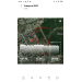  Hochgeladen am 03.08.2022 00:00:00Мурзина Ольга 