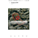  Hochgeladen am 10.08.2022 00:00:00Мурзина Ольга 