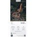  Hochgeladen am 18.09.2022 00:00:00Коцюбинский Антон 