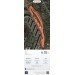  Hochgeladen am 20.09.2022 00:00:00Ахиярова Ирина 