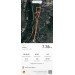  Hochgeladen am 14.03.2023 00:00:00Шелест Алексей 
