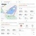  Hochgeladen am 15.04.2023 00:00:00Малютина Анастасия 