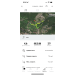  Hochgeladen am 11.04.2023 00:00:00Горячкина Татьяна 