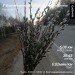  Hochgeladen am 05.04.2023 00:00:00Шлык Валерия 