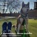  Hochgeladen am 01.05.2023 00:00:00Копылова Елена 