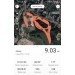  Hochgeladen am 09.05.2023 00:00:00Шатров Алексей 