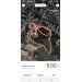  Hochgeladen am 12.05.2023 00:00:00Шатров Алексей 