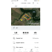  Hochgeladen am 11.05.2023 00:00:00Поляков Андрей 