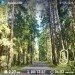  Hochgeladen am 21.05.2023 00:00:00Наточеева Таня 