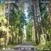  Hochgeladen am 13.05.2023 00:00:00Наточеева Таня 