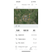  Hochgeladen am 07.05.2023 00:00:00Андреева Эльвира 