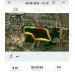  Hochgeladen am 09.05.2023 00:00:00Тонкоглазова Марина 