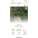  Hochgeladen am 17.04.2023 00:00:00Устарова Элла 