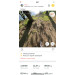  Hochgeladen am 29.05.2023 00:00:00Канаева Ольга 