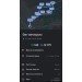  Hochgeladen am 31.05.2023 00:00:00Ялалетдинова Руфина 