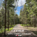 Hochgeladen am 04.05.2023 00:00:00Никифоров Алексей 