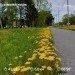 Hochgeladen am 08.06.2023 00:00:00Орлова Анастасия 