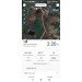  Hochgeladen am 14.06.2023 00:00:00Рымшина Наталья 
