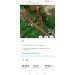  Hochgeladen am 09.06.2023 00:00:00Шафиева Виктория 