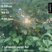  Hochgeladen am 19.06.2023 00:00:00хз хз 
