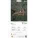 Hochgeladen am 07.06.2023 00:00:00Филин Кирилл 