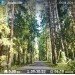  Hochgeladen am 04.06.2023 00:00:00Наточеева Таня 