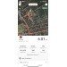  Hochgeladen am 26.07.2023 00:00:00Лесникова Кристина 