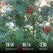  Hochgeladen am 19.07.2023 00:00:00Сидорова Майя 