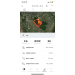  Hochgeladen am 04.07.2023 00:00:00Лазута Татьяна 