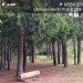  Hochgeladen am 18.07.2023 00:00:00Беляева Марина 