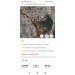  Hochgeladen am 02.07.2023 00:00:00Сезихина Татьяна 