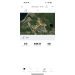  Hochgeladen am 25.07.2023 00:00:00Сороченкова Анна 