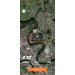  Hochgeladen am 05.07.2023 00:00:00Суфиярова Дарья 