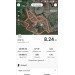  Hochgeladen am 18.07.2023 00:00:00Иванов Юрий 