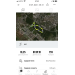  Hochgeladen am 01.07.2023 00:00:00Чебыкина Ирина 
