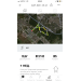  Hochgeladen am 24.07.2023 00:00:00Чебыкина Ирина 