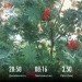  Hochgeladen am 19.07.2023 00:00:00Сидорова Майя 