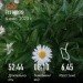  Hochgeladen am 04.07.2023 00:00:00Костюк Екатерина 
