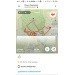  Hochgeladen am 16.08.2023 00:00:00Романова Ольга 