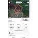  Hochgeladen am 31.08.2023 00:00:00Иванов Юрий 