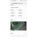  Hochgeladen am 07.08.2023 00:00:00Петухова Нина 