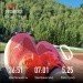 Hochgeladen am 24.08.2023 00:00:00Блинова Анна 