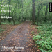  Hochgeladen am 13.08.2023 00:00:00Фамилия Имя 