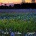  Hochgeladen am 26.08.2023 00:00:00Первушина Анна 
