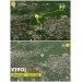  Hochgeladen am 10.07.2023 00:00:00Музыка Давид 