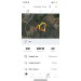  Hochgeladen am 17.08.2023 00:00:00Синельников Андрей 